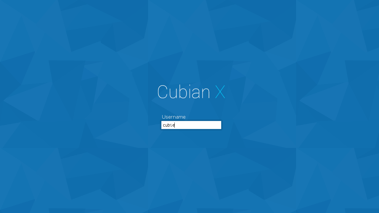 Cubian X1 login screenshot